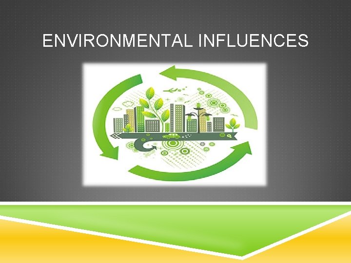 ENVIRONMENTAL INFLUENCES ENVIRONMENTAL INFLUENCES