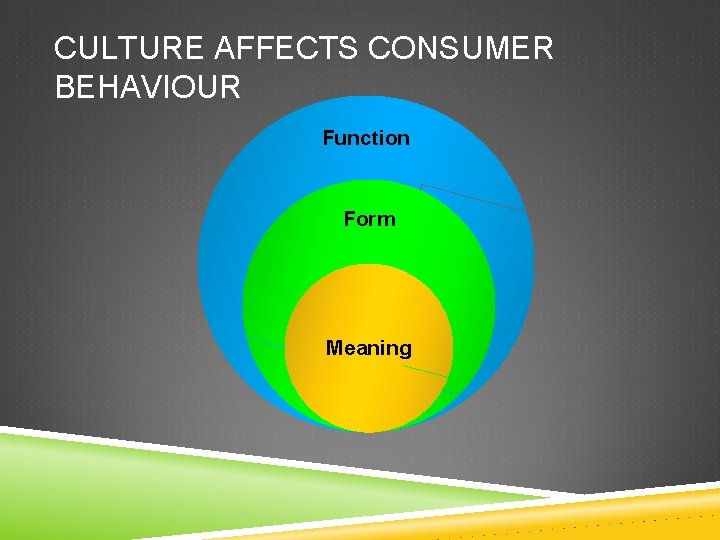 CULTURE AFFECTS CONSUMER BEHAVIOUR Function Form Meaning 