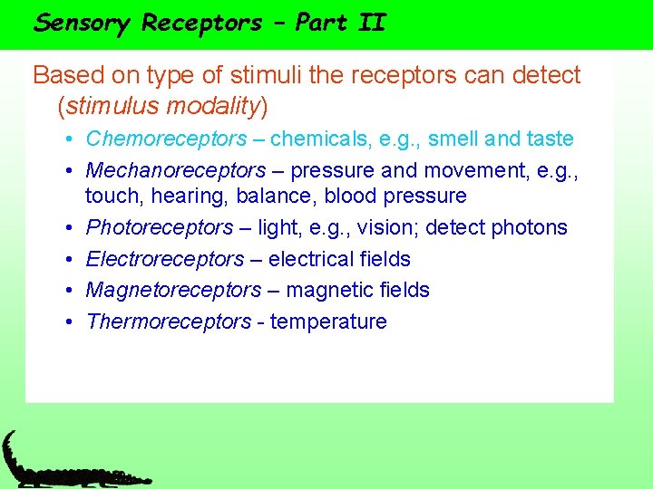 Sensory Receptors – Part II Based on type of stimuli the receptors can detect