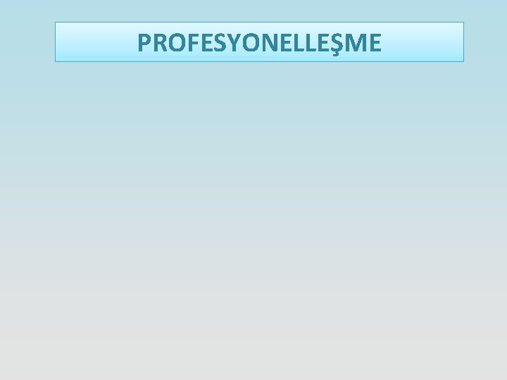 PROFESYONELLEŞME 