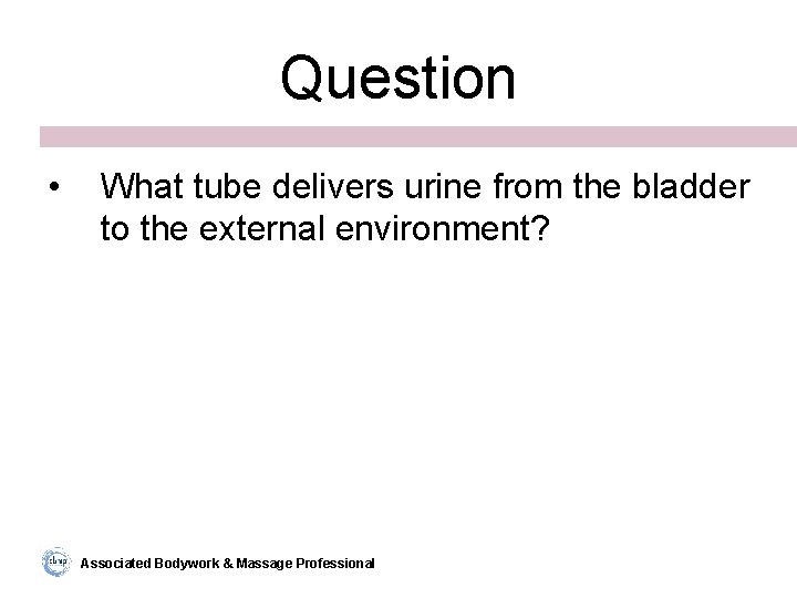 Question • What tube delivers urine from the bladder to the external environment? Associated