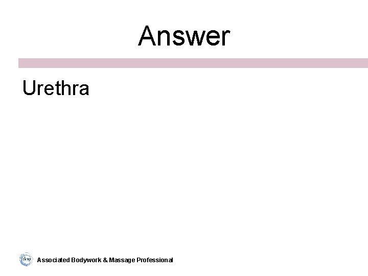 Answer Urethra Associated Bodywork & Massage Professional 