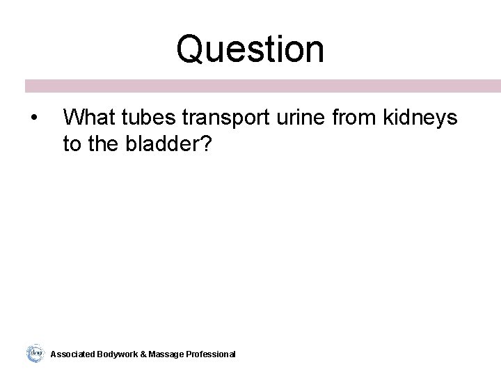 Question • What tubes transport urine from kidneys to the bladder? Associated Bodywork &