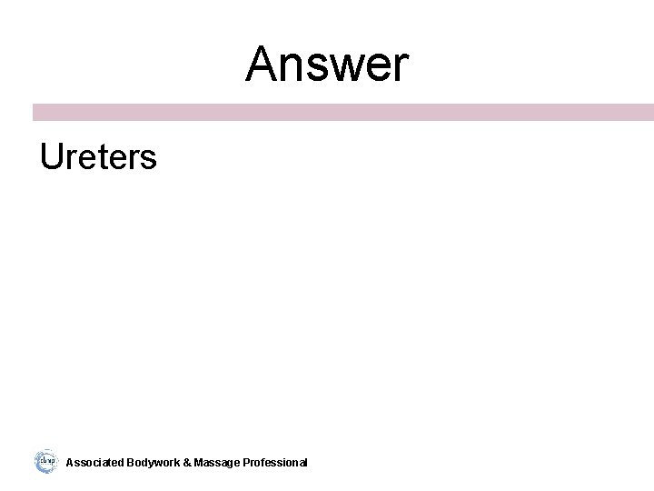 Answer Ureters Associated Bodywork & Massage Professional 