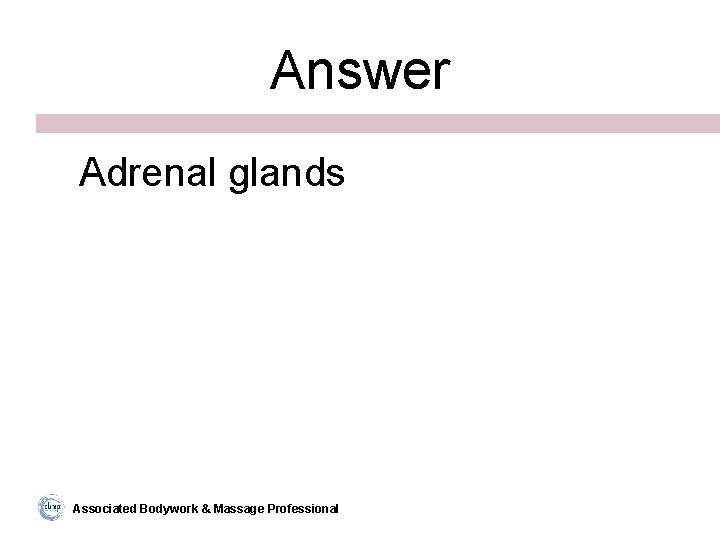 Answer Adrenal glands Associated Bodywork & Massage Professional 