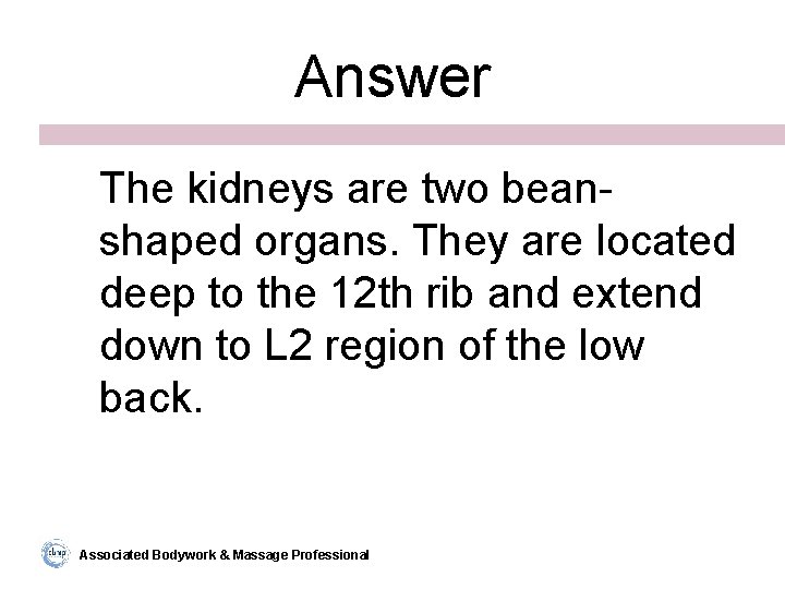 Answer The kidneys are two beanshaped organs. They are located deep to the 12