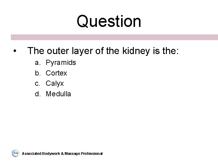Question • The outer layer of the kidney is the: a. b. c. d.