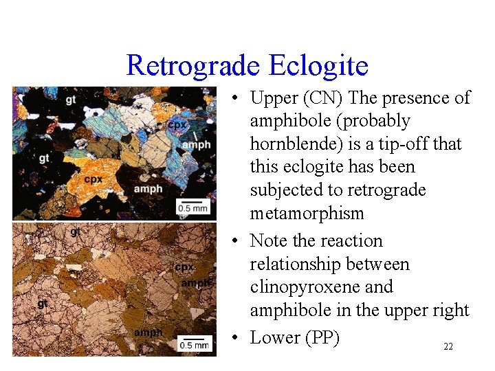 Retrograde Eclogite • Upper (CN) The presence of amphibole (probably hornblende) is a tip-off