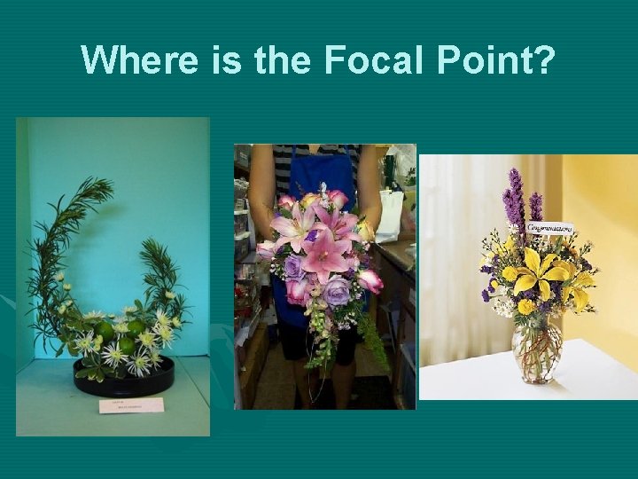 Where is the Focal Point? 