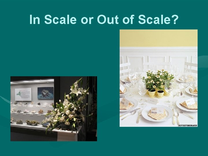 In Scale or Out of Scale? 