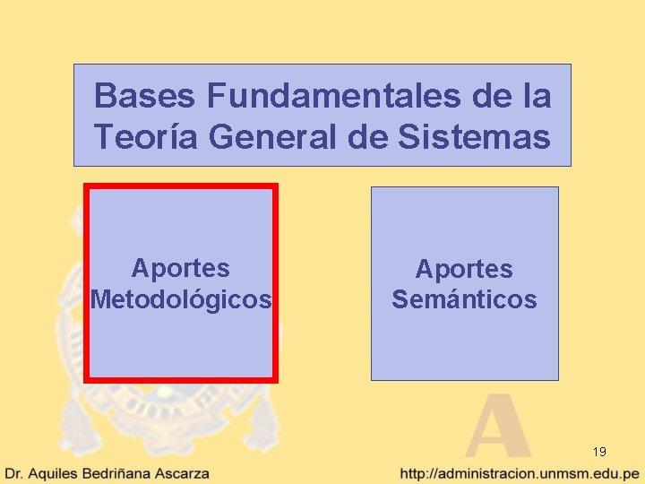 Bases Fundamentales de la Teoría General de Sistemas Aportes Metodológicos Aportes Semánticos 19 