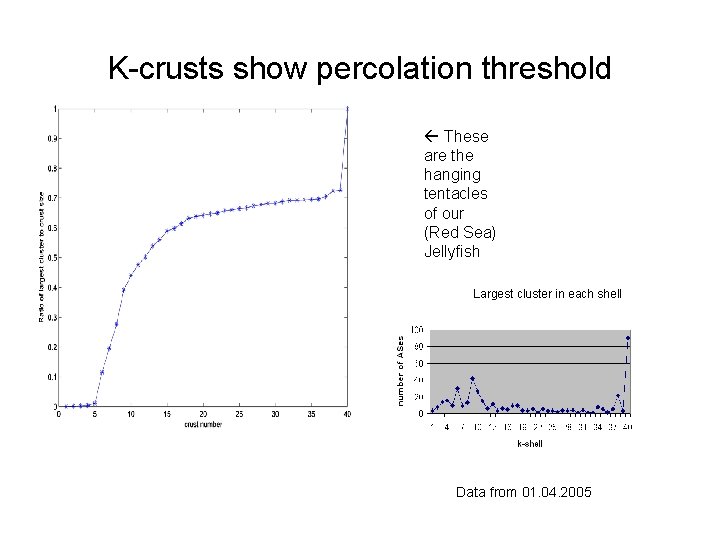 K-crusts show percolation threshold These are the hanging tentacles of our (Red Sea) Jellyfish