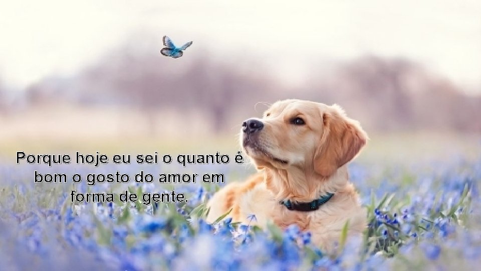 Porque hoje eu sei o quanto é bom o gosto do amor em forma