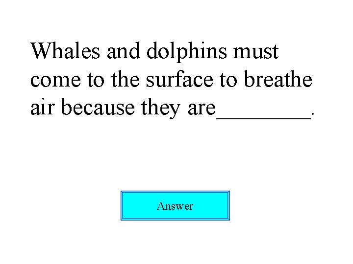 Whales and dolphins must come to the surface to breathe air because they are____.