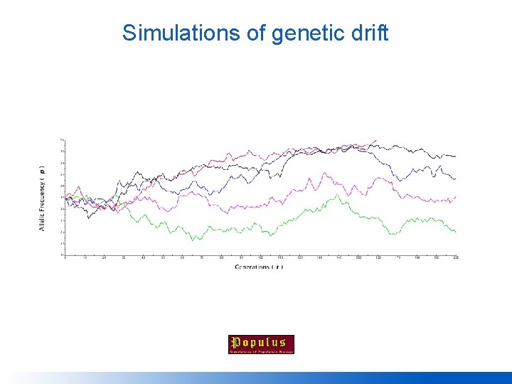 Simulations of genetic drift 