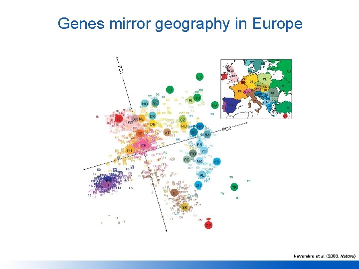 Genes mirror geography in Europe Novembre et al. (2008, Nature) 
