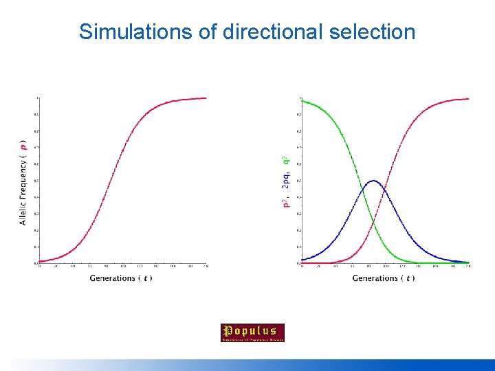 Simulations of directional selection 