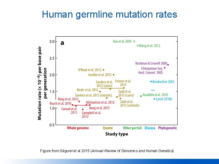 Human germline mutation rates Figure from Ségurel et al 2015 (Annual Review of Genomics