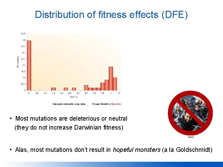 Distribution of fitness effects (DFE) Vesicular stomatitis virus data • Most mutations are deleterious