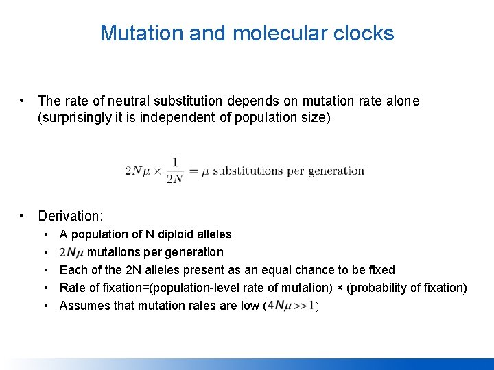 Mutation and molecular clocks • The rate of neutral substitution depends on mutation rate