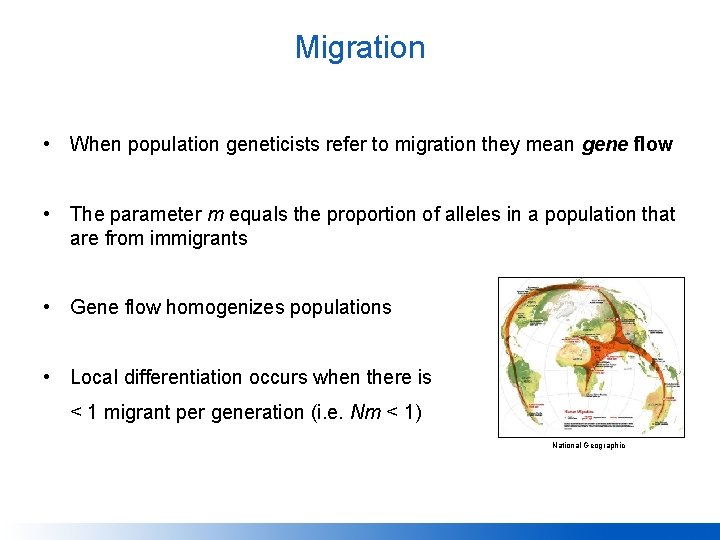 Migration • When population geneticists refer to migration they mean gene flow • The