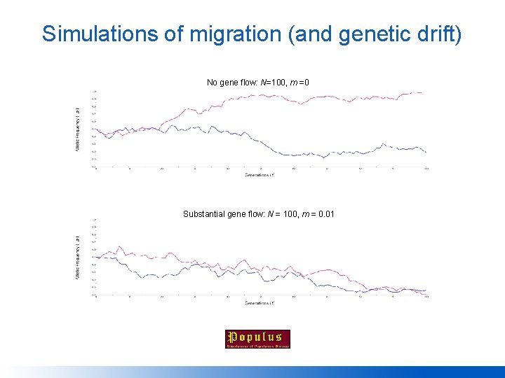 Simulations of migration (and genetic drift) No gene flow: N=100, m =0 Substantial gene