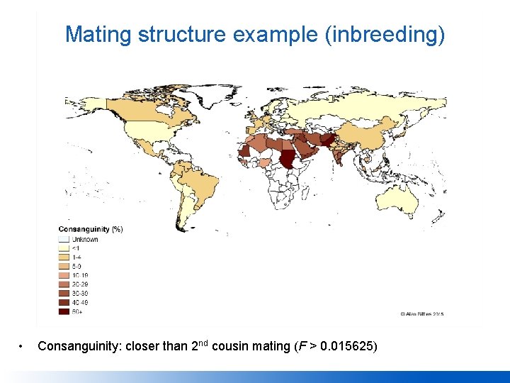 Mating structure example (inbreeding) • Consanguinity: closer than 2 nd cousin mating (F >