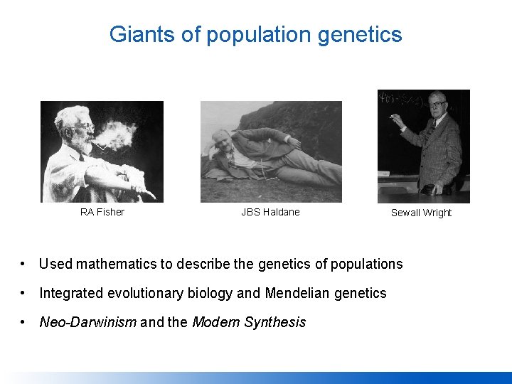 Giants of population genetics RA Fisher JBS Haldane Sewall Wright • Used mathematics to