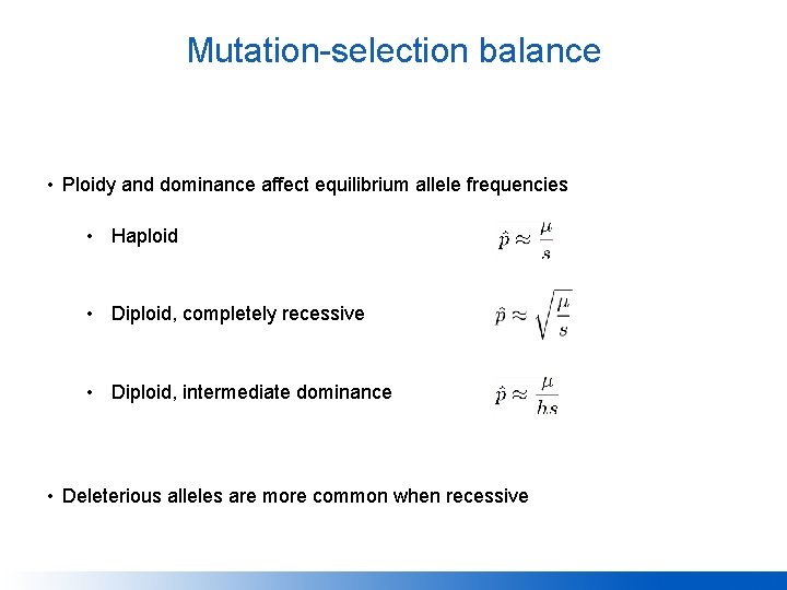 Mutation-selection balance • Ploidy and dominance affect equilibrium allele frequencies • Haploid • Diploid,