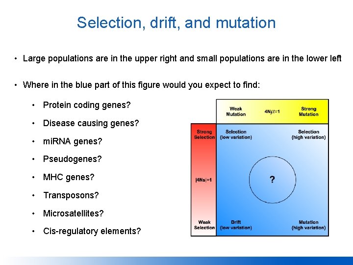 Selection, drift, and mutation • Large populations are in the upper right and small
