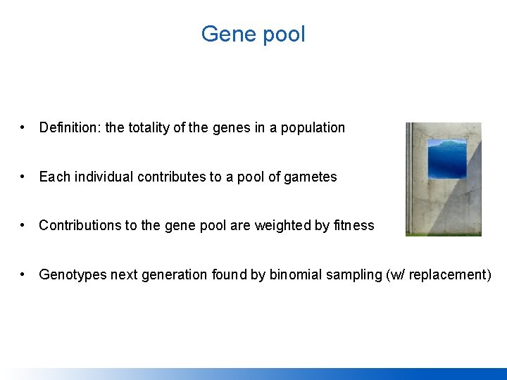 Gene pool • Definition: the totality of the genes in a population • Each