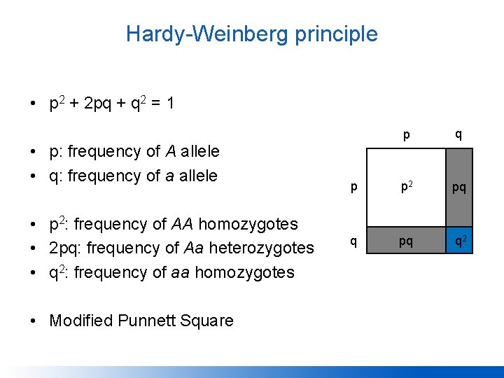 Hardy-Weinberg principle • p 2 + 2 pq + q 2 = 1 •