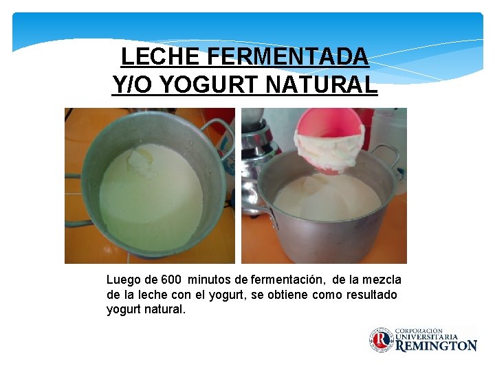 LECHE FERMENTADA Y/O YOGURT NATURAL Luego de 600 minutos de fermentación, de la mezcla