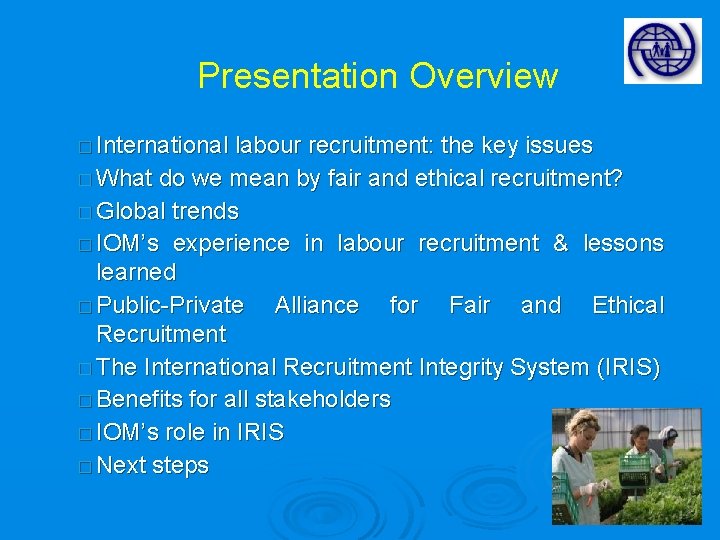 Presentation Overview � International labour recruitment: the key issues � What do we mean