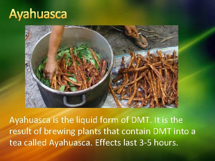 Ayahuasca is the liquid form of DMT. It is the result of brewing plants