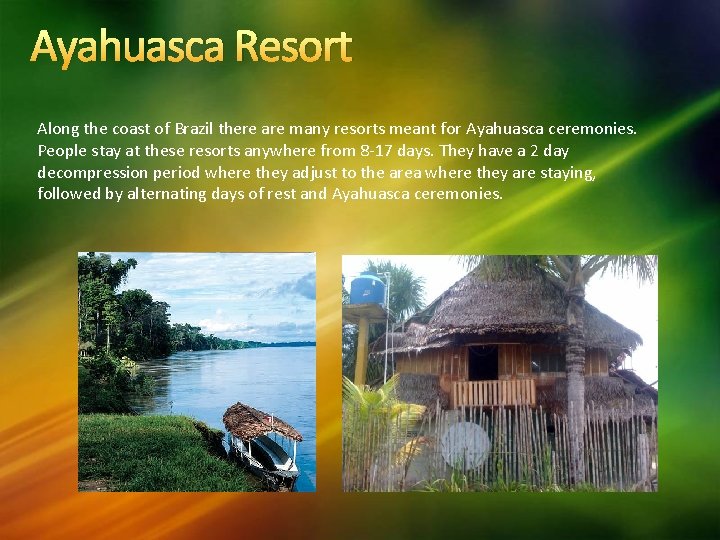 Ayahuasca Resort Along the coast of Brazil there are many resorts meant for Ayahuasca