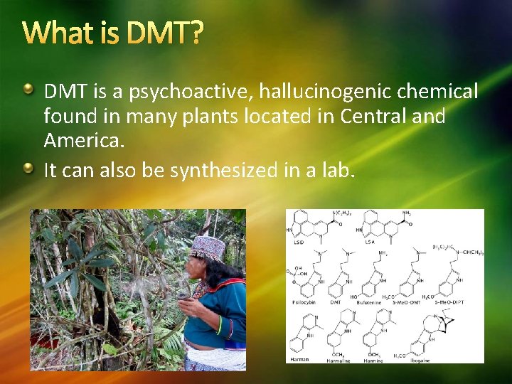 What is DMT? DMT is a psychoactive, hallucinogenic chemical found in many plants located