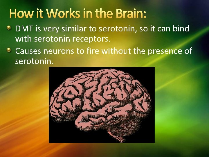 How it Works in the Brain: DMT is very similar to serotonin, so it