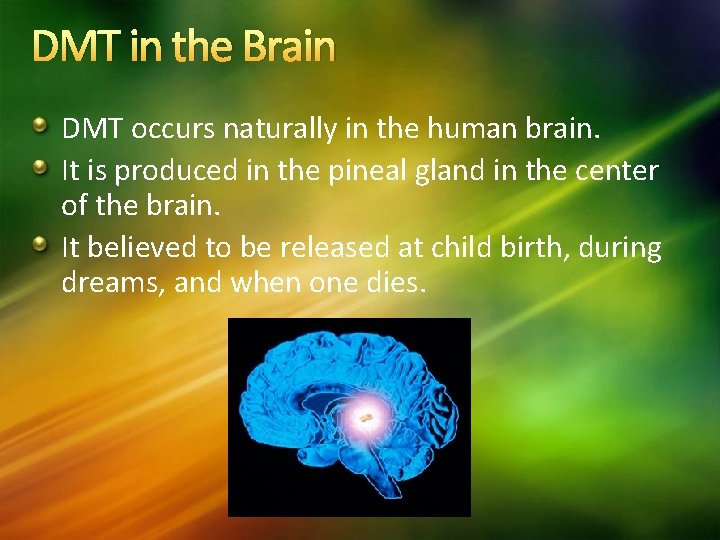 DMT in the Brain DMT occurs naturally in the human brain. It is produced