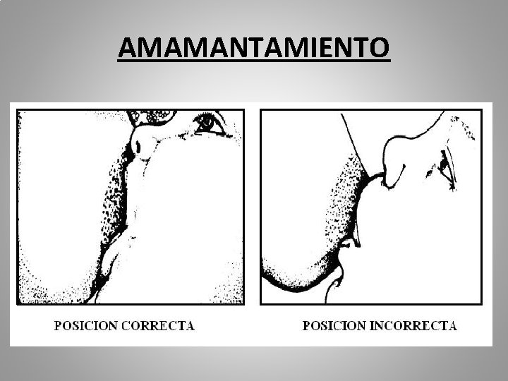 AMAMANTAMIENTO 