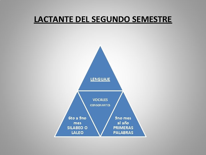 LACTANTE DEL SEGUNDO SEMESTRE LENGUAJE VOCALES CONSONANTES 6 to a 9 no mes SILABEO