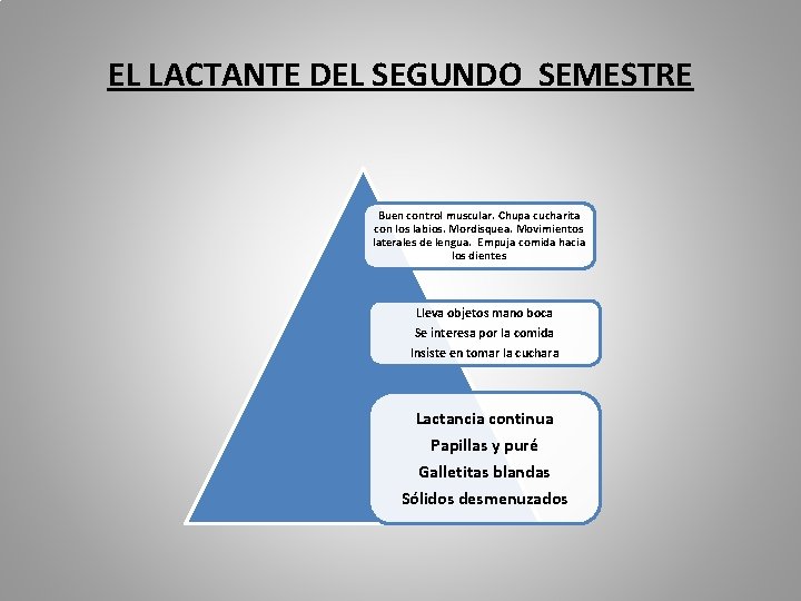 EL LACTANTE DEL SEGUNDO SEMESTRE Buen control muscular. Chupa cucharita con los labios. Mordisquea.