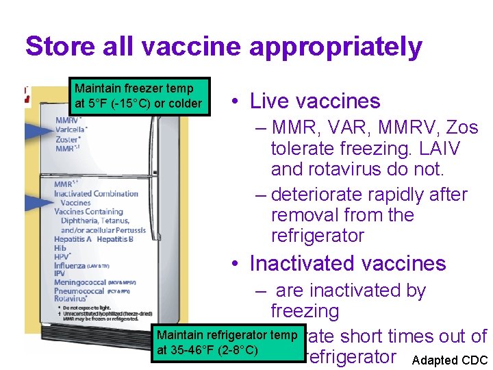 Store all vaccine appropriately Maintain freezer temp at 5°F (-15°C) or colder • Live