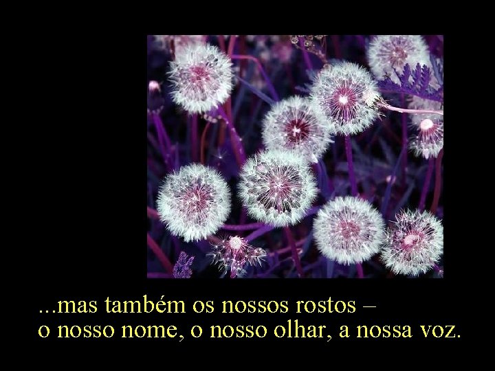 . . . mas também os nossos rostos – o nosso nome, o nosso