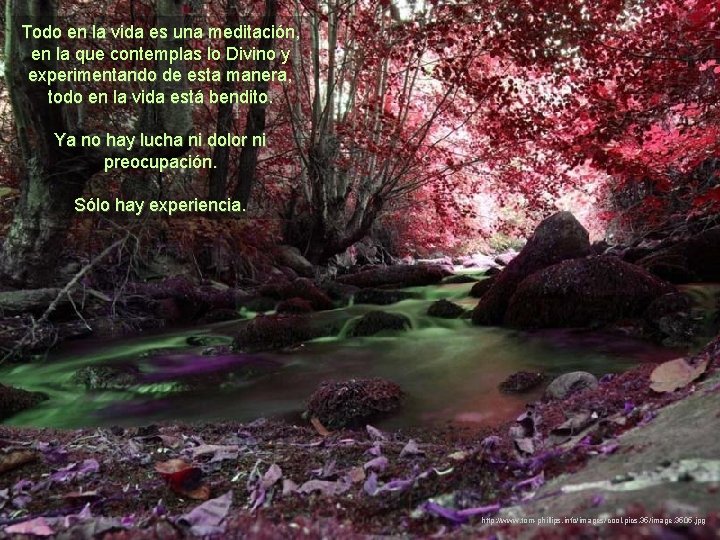 Todo en la vida es una meditación, en la que contemplas lo Divino y