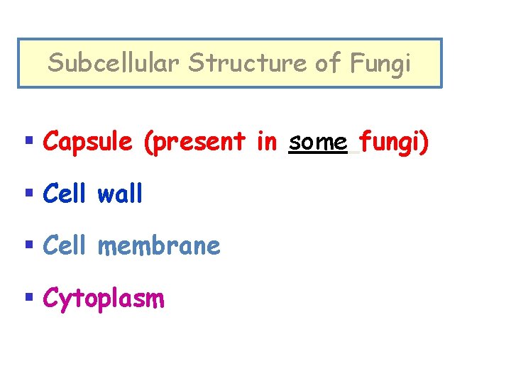 Subcellular Structure of Fungi § Capsule (present in some fungi) § Cell wall §