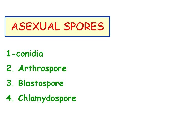 ASEXUAL SPORES 1 -conidia 2. Arthrospore 3. Blastospore 4. Chlamydospore 