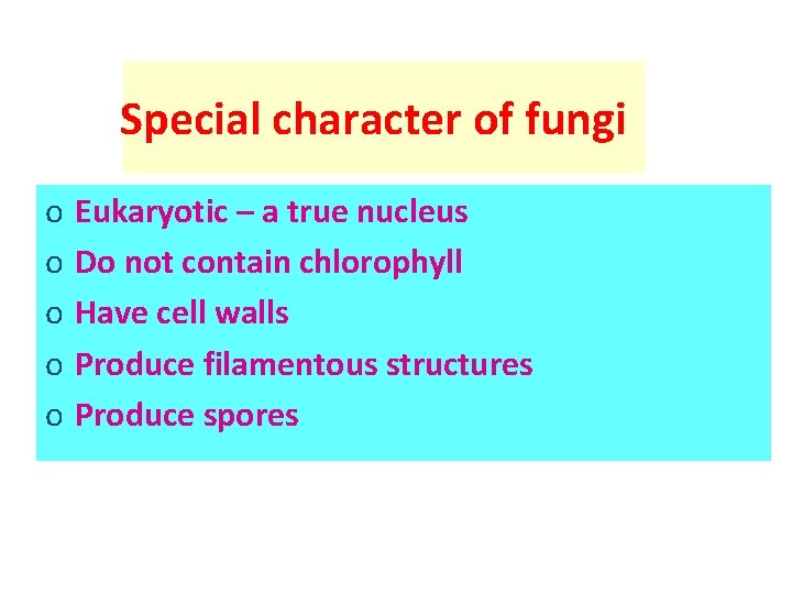 Special character of fungi o o o Eukaryotic – a true nucleus Do not