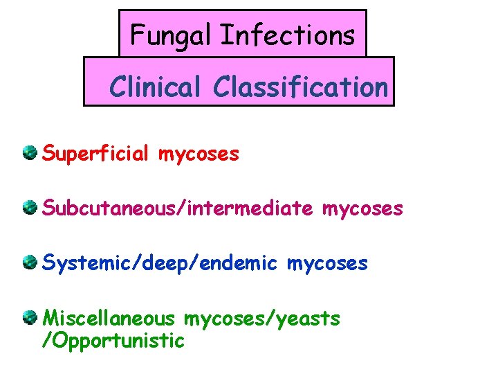 Fungal Infections Clinical Classification Superficial mycoses Subcutaneous/intermediate mycoses Systemic/deep/endemic mycoses Miscellaneous mycoses/yeasts /Opportunistic Fungal Infections Clinical Classification Superficial mycoses Subcutaneous/intermediate mycoses Systemic/deep/endemic mycoses Miscellaneous mycoses/yeasts /Opportunistic