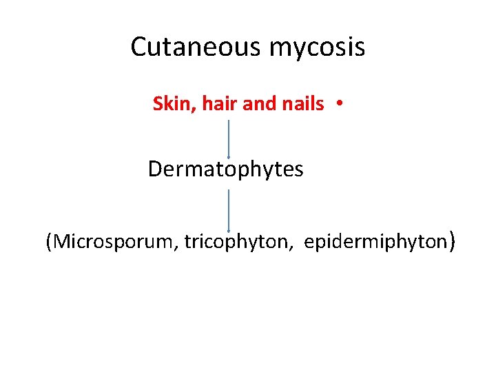 Cutaneous mycosis Skin, hair and nails • Dermatophytes (Microsporum, tricophyton, epidermiphyton) 